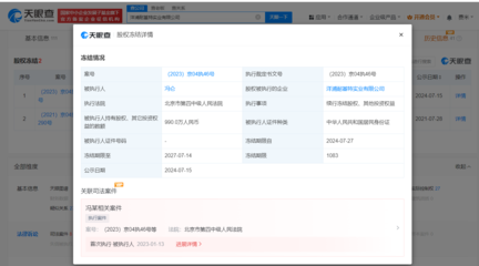 馮侖所持990萬股權再被凍結